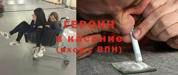 мдпв Ельня