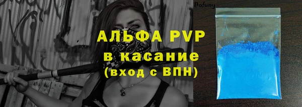 мдпв Ельня