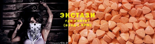 мдпв Елабуга