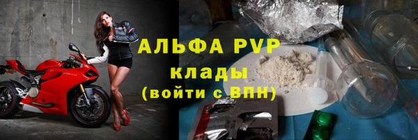 мдпв Ельня