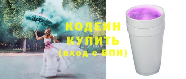 мдпв Ельня