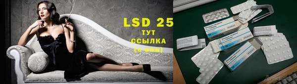 мдпв Елабуга