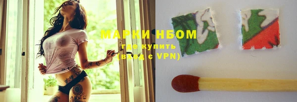мдпв Елабуга