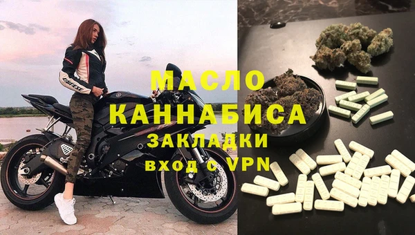 мдпв Ельня