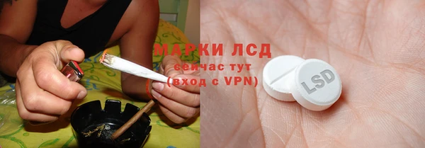 мдпв Ельня