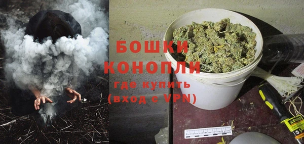 мдпв Елабуга