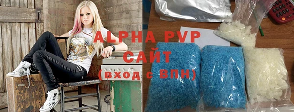 мдпв Ельня