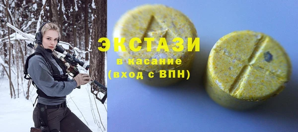 мдпв Елабуга