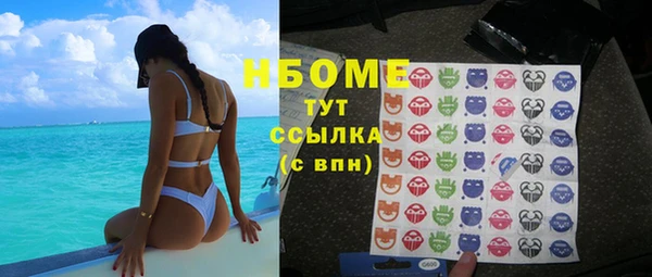 мдпв Ельня