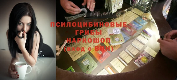 мдпв Ельня